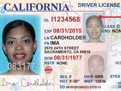 Driver License Los Angeles California